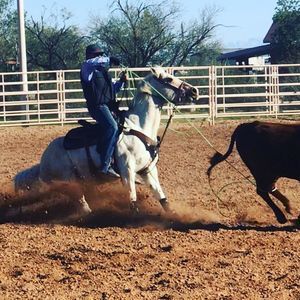 Meet your Posher, Jesse